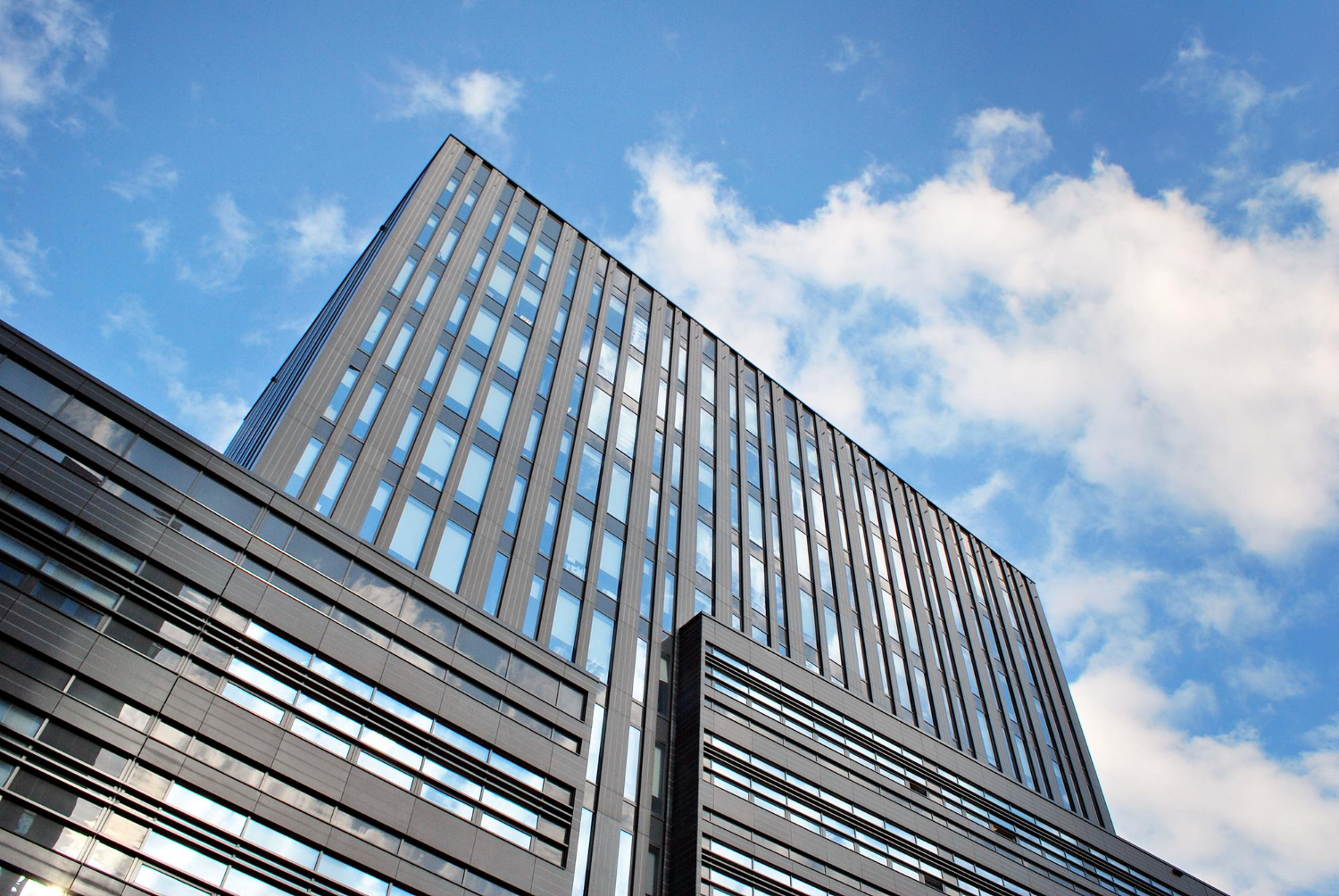 Girişim ekosistemi görseli